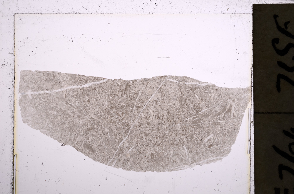 Plane Polarized, E22896