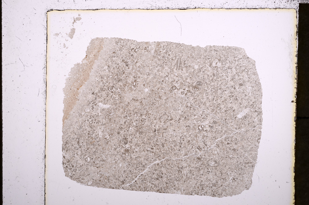 Plane Polarized, E23004