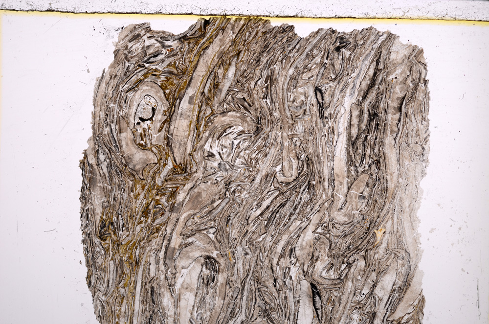 Plane Polarized, E23010