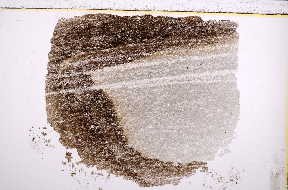 Plane Polarized, E23011