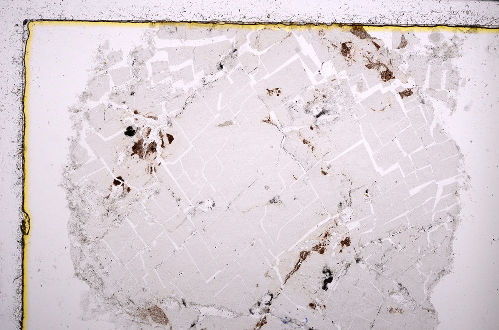 Plane Polarized, E23014