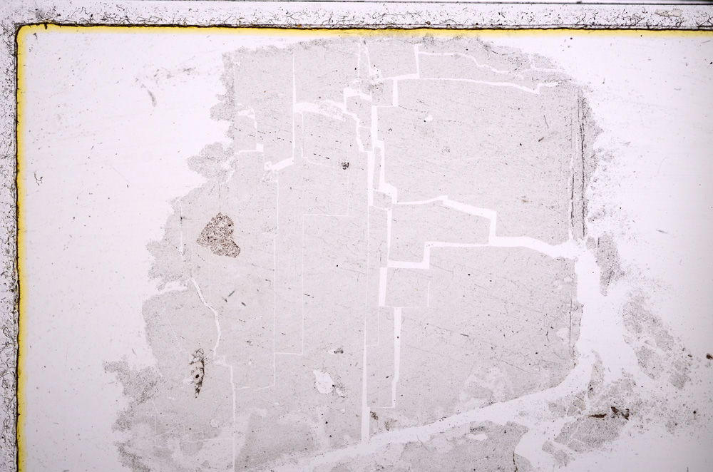 Plane Polarized, E23015