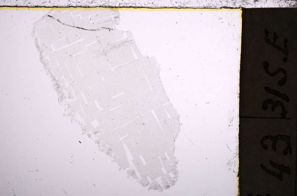 Plane Polarized, E23017