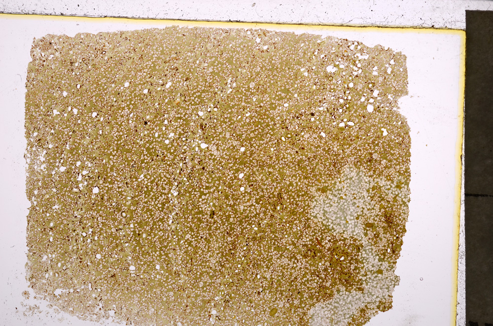 Plane Polarized, E23061