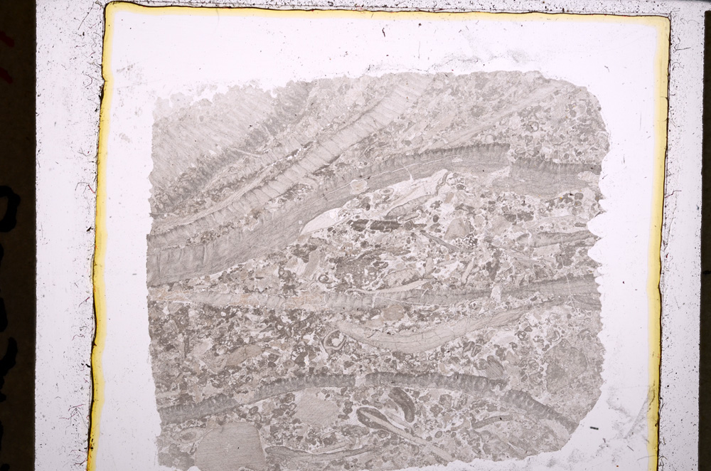 Plane Polarized, E23106