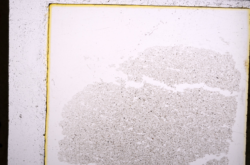 Plane Polarized, E23109