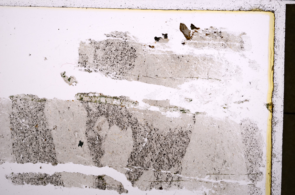 Plane Polarized, E23143