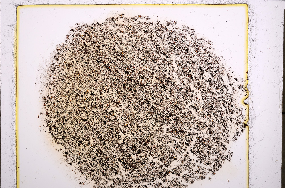 Plane Polarized, E23165