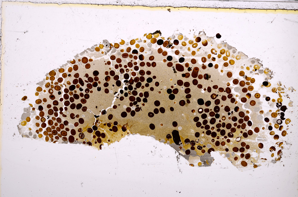 Plane Polarized, E23278