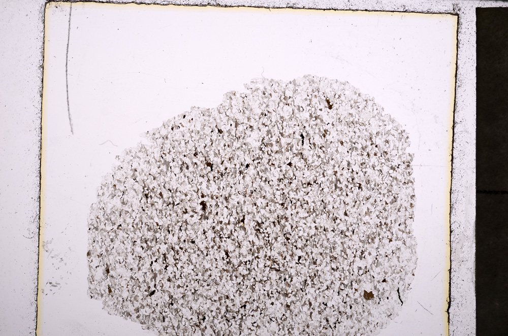 Plane Polarized, E23280