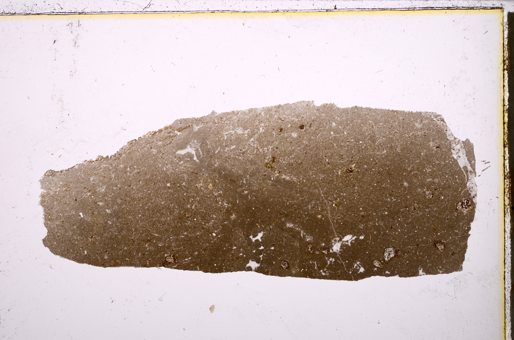 Plane Polarized, E23361