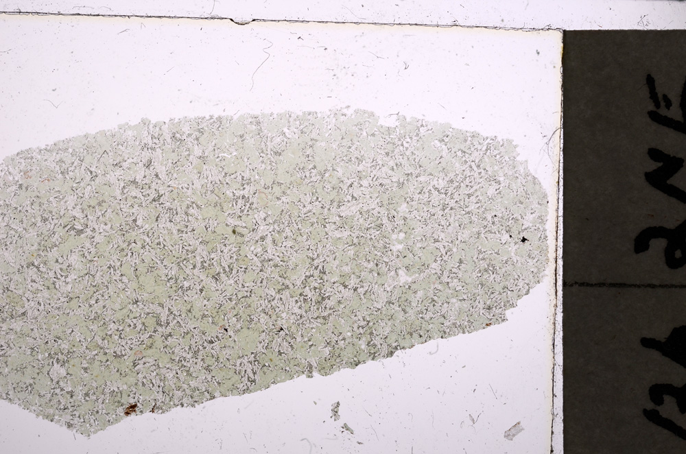 Plane Polarized, E23439