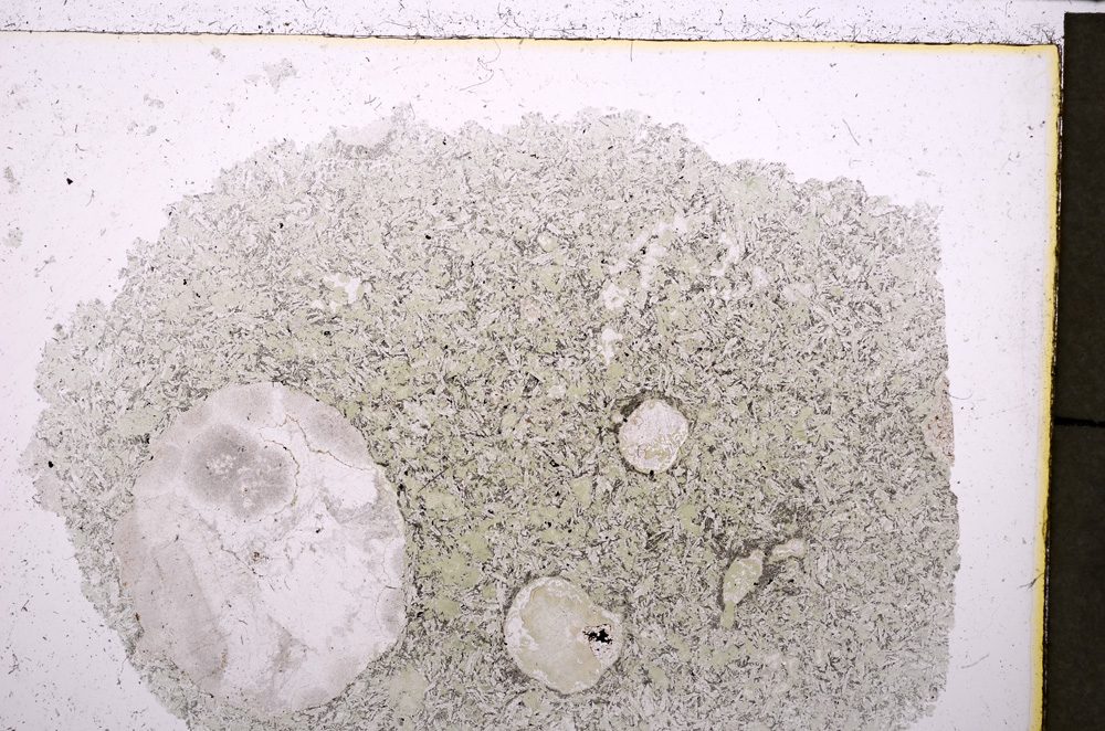 Plane Polarized, E23440