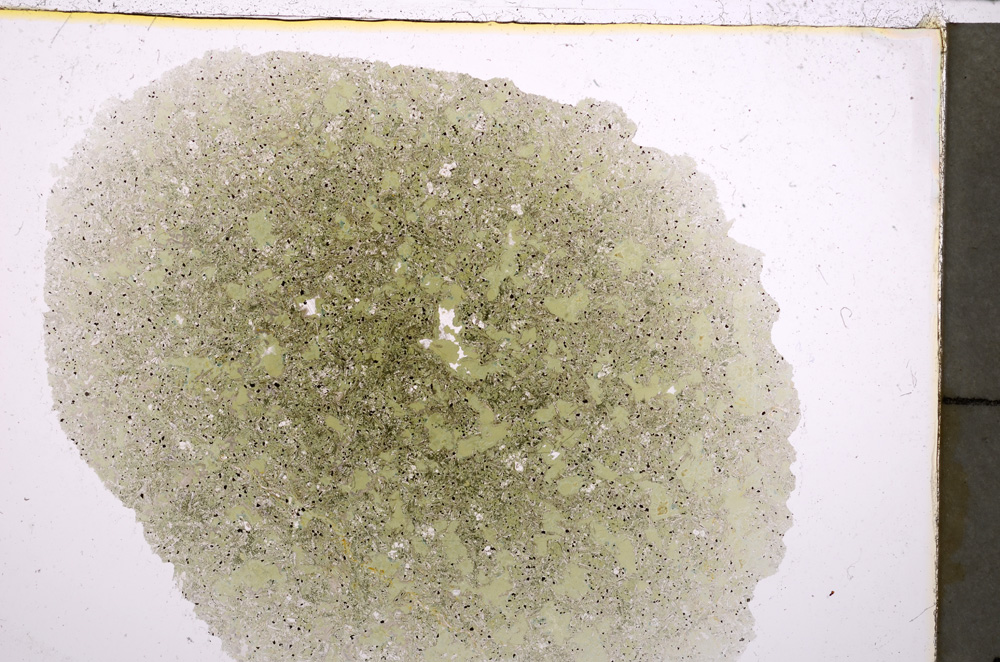 Plane Polarized, E23441