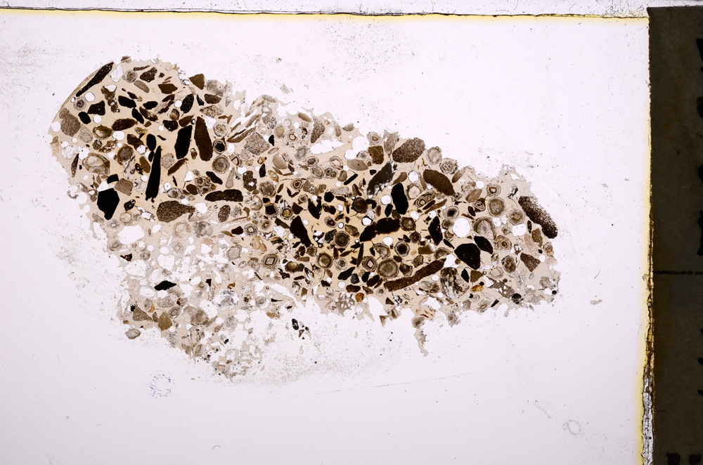 Plane Polarized, E23455