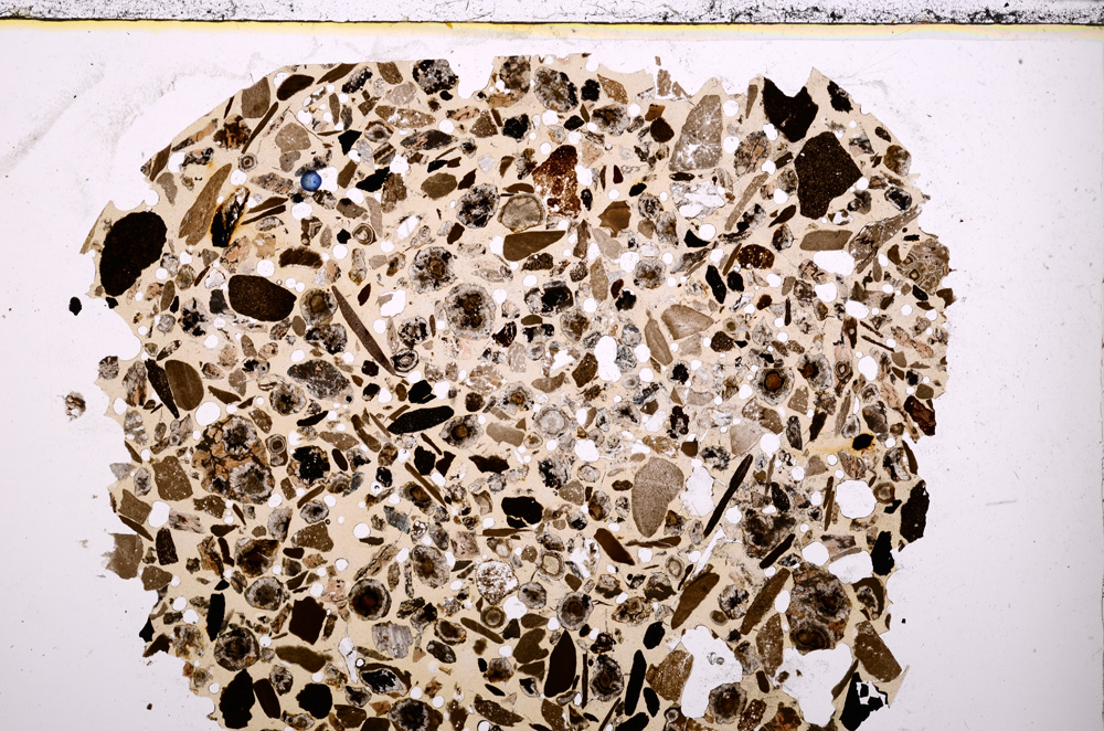 Plane Polarized, E23456