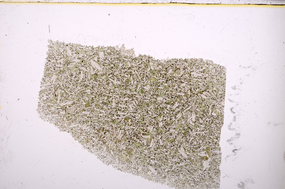 Plane Polarized, E23463