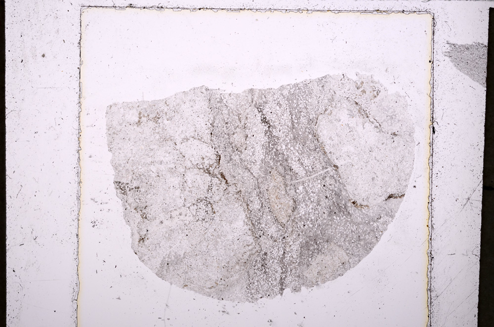 Plane Polarized, E23483