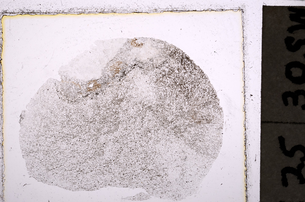 Plane Polarized, E23484