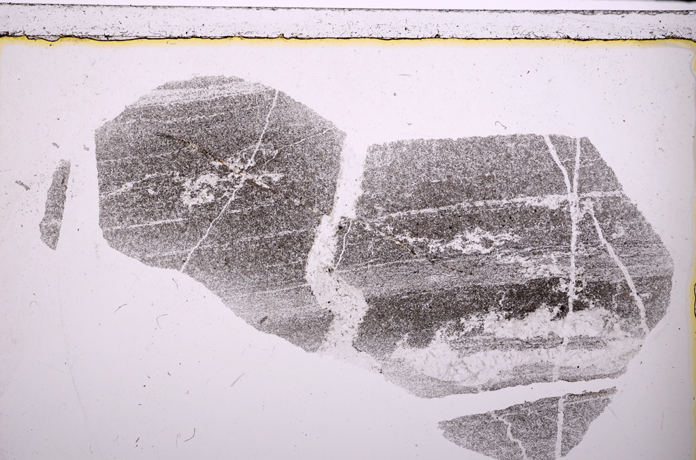 Plane Polarized, E23513