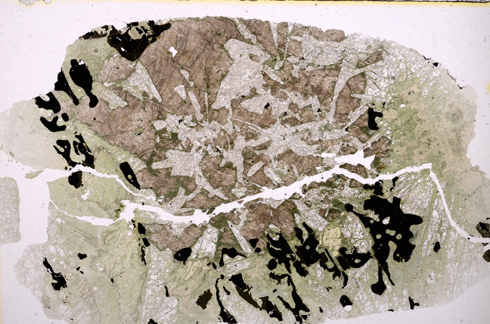 Plane Polarized, E23542