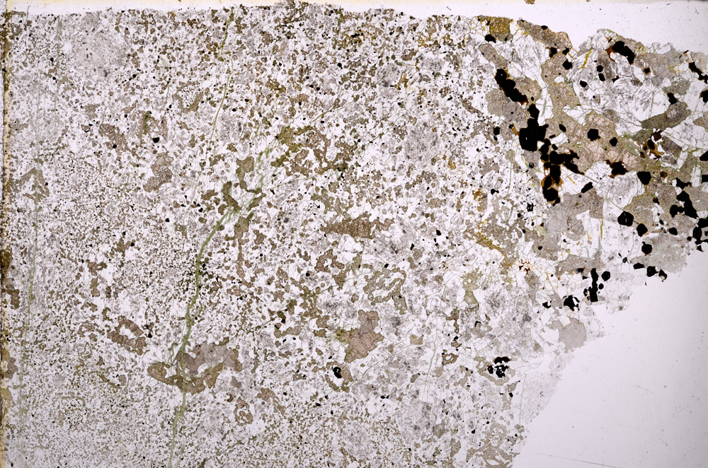 Plane Polarized, E23544