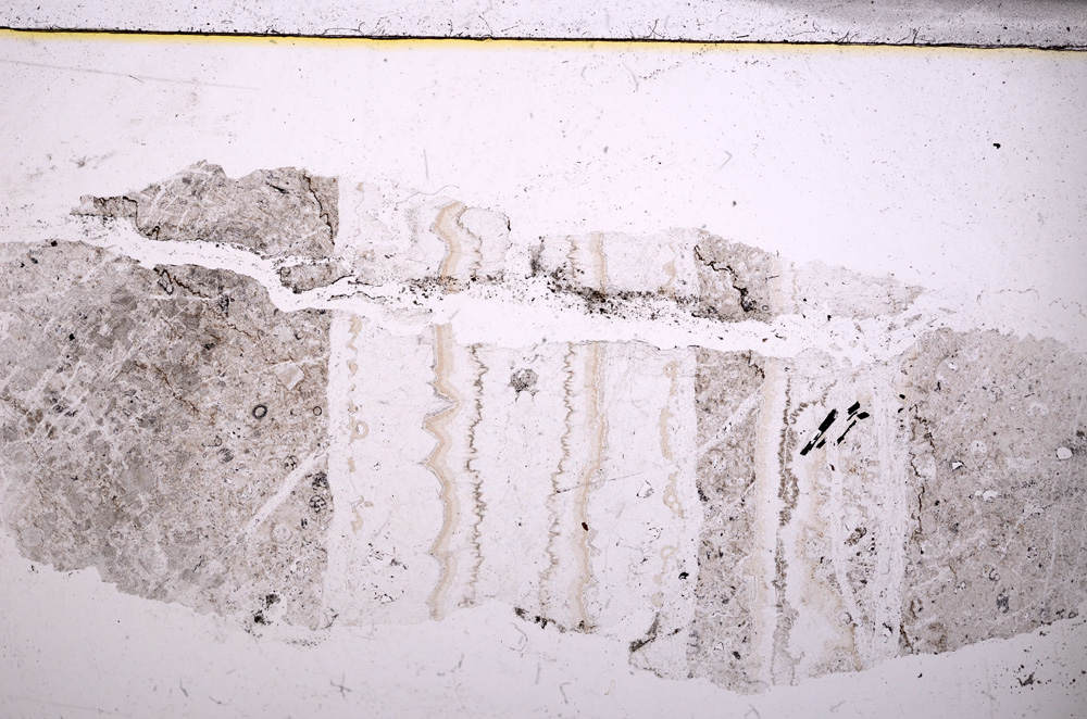 Plane Polarized, E23573