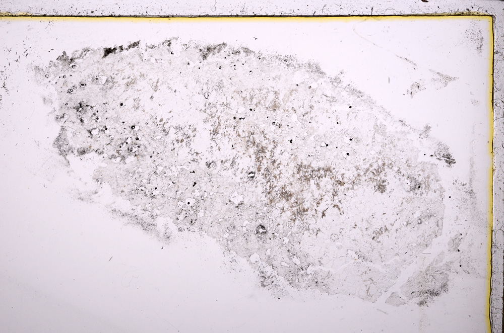 Plane Polarized, E23612