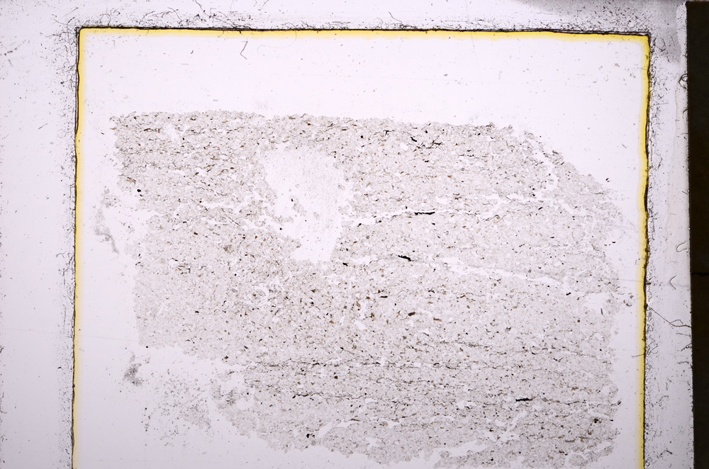 Plane Polarized, E23614