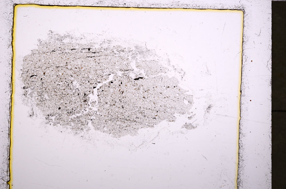 Plane Polarized, E23615