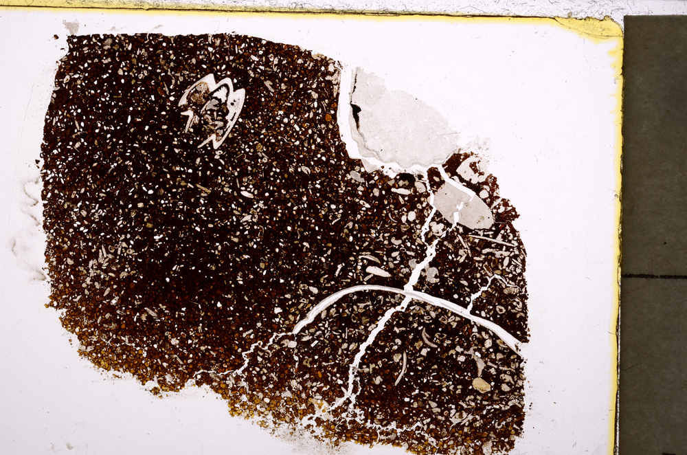 Plane Polarized, E23625