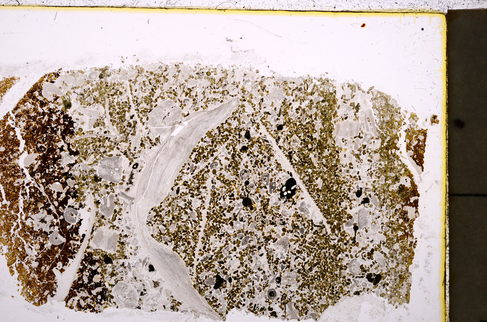 Plane Polarized, E23626