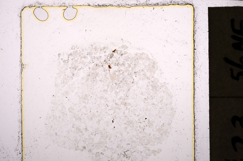 Plane Polarized, E23665