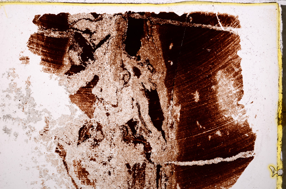 Plane Polarized, E23686