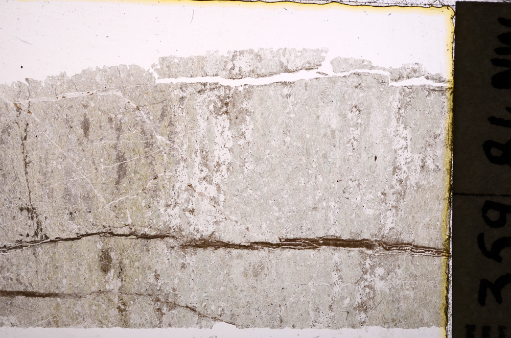 Plane Polarized, E23761