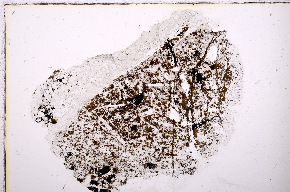 Plane Polarized, E23772