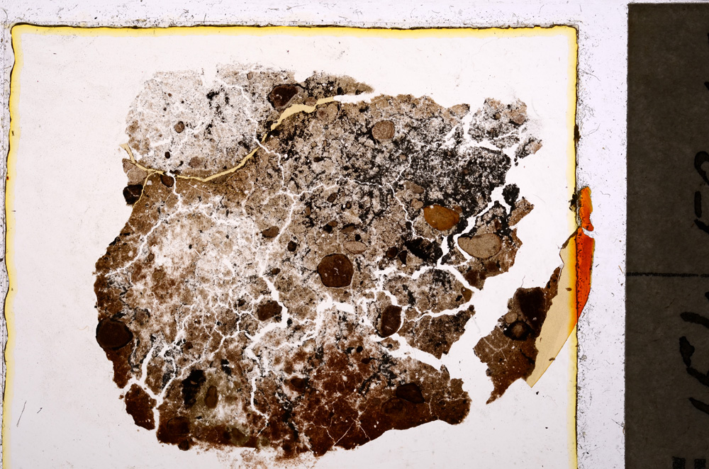 Plane Polarized, E23792