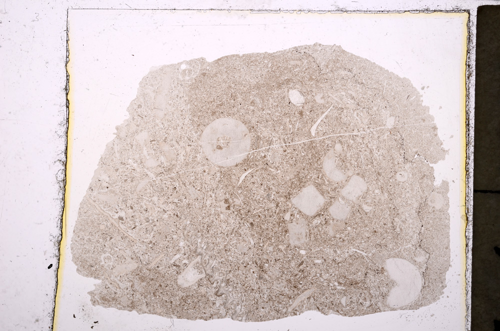 Plane Polarized, E23821