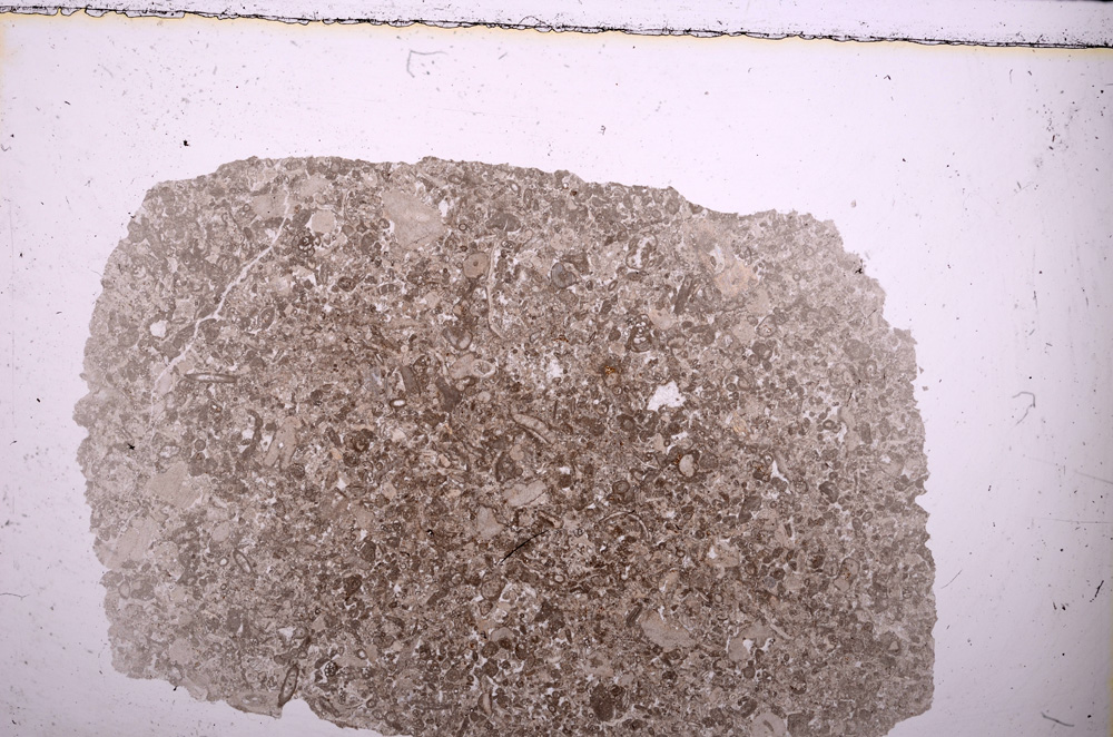 Plane Polarized, E23825