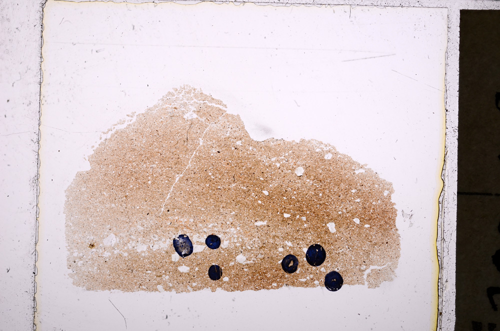 Plane Polarized, E23833