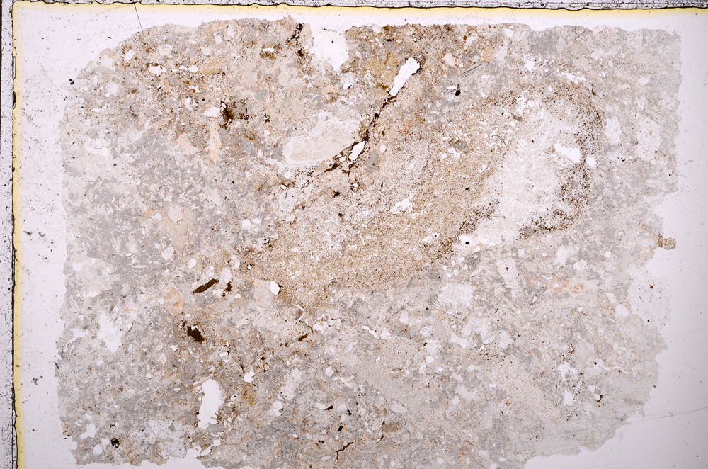 Plane Polarized, E23835