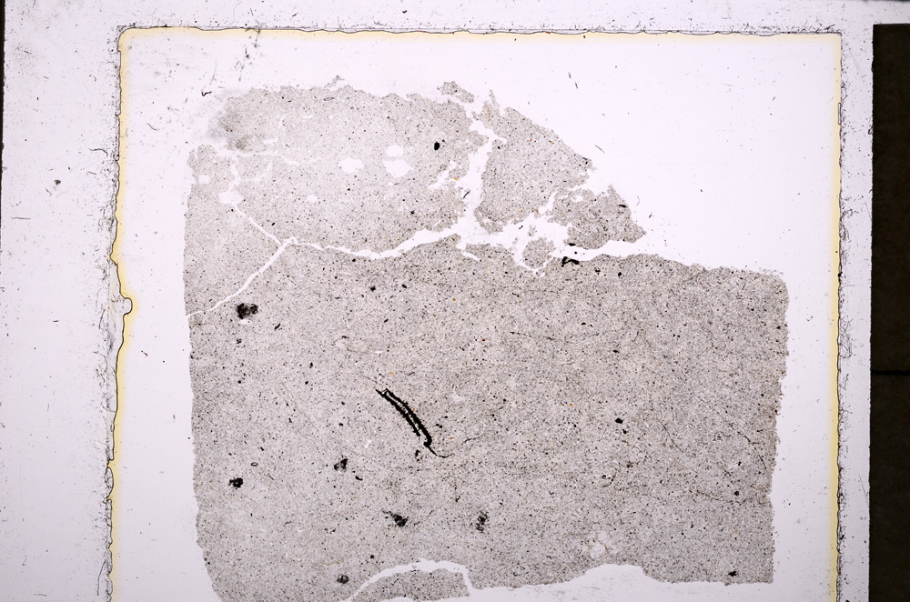 Plane Polarized, E23838