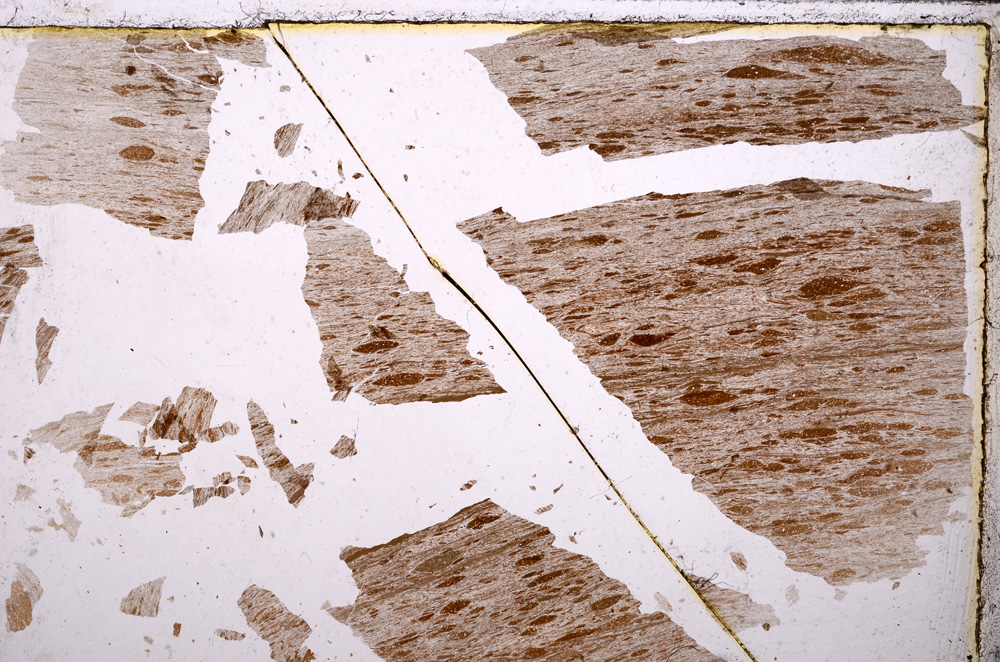 Plane Polarized, E23841