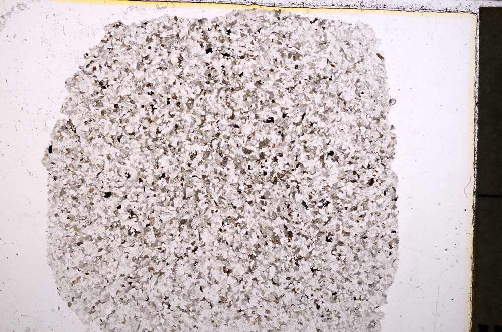 Plane Polarized, E23846