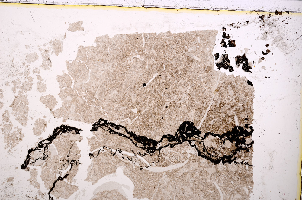 Plane Polarized, E23849
