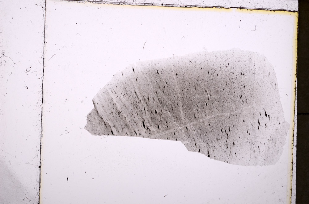 Plane Polarized, E23896
