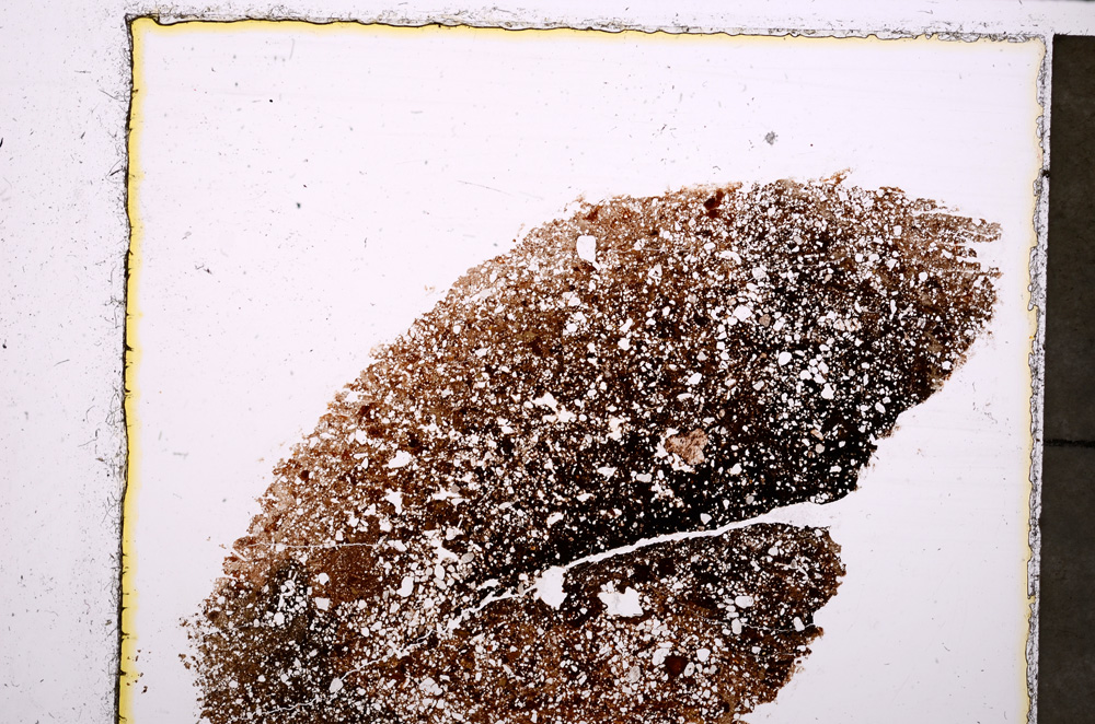 Plane Polarized, E23940