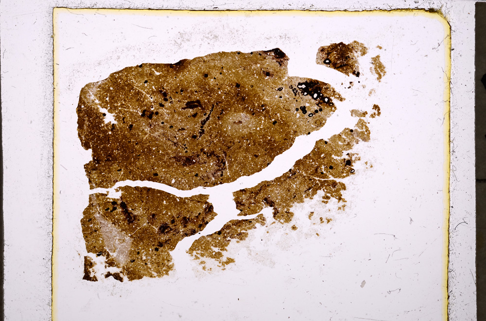 Plane Polarized, E23946