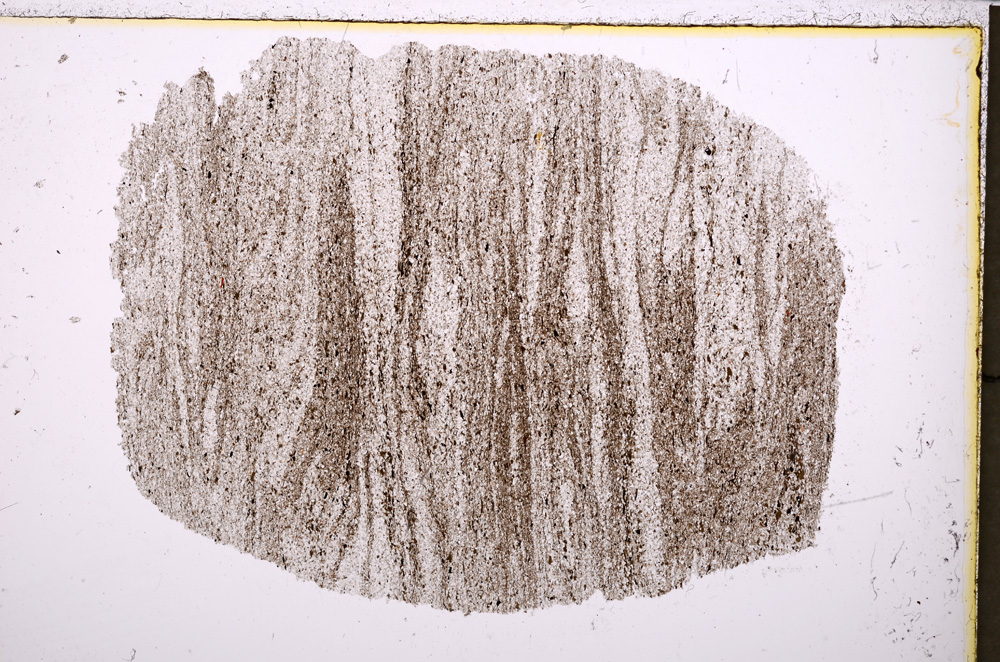 Plane Polarized, E23952