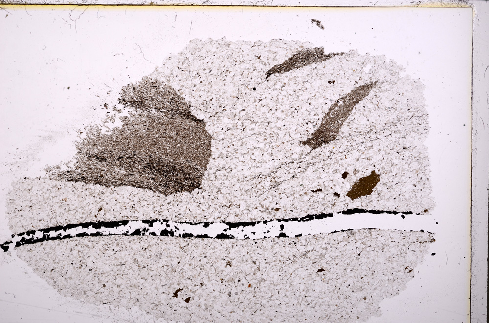 Plane Polarized, E23953